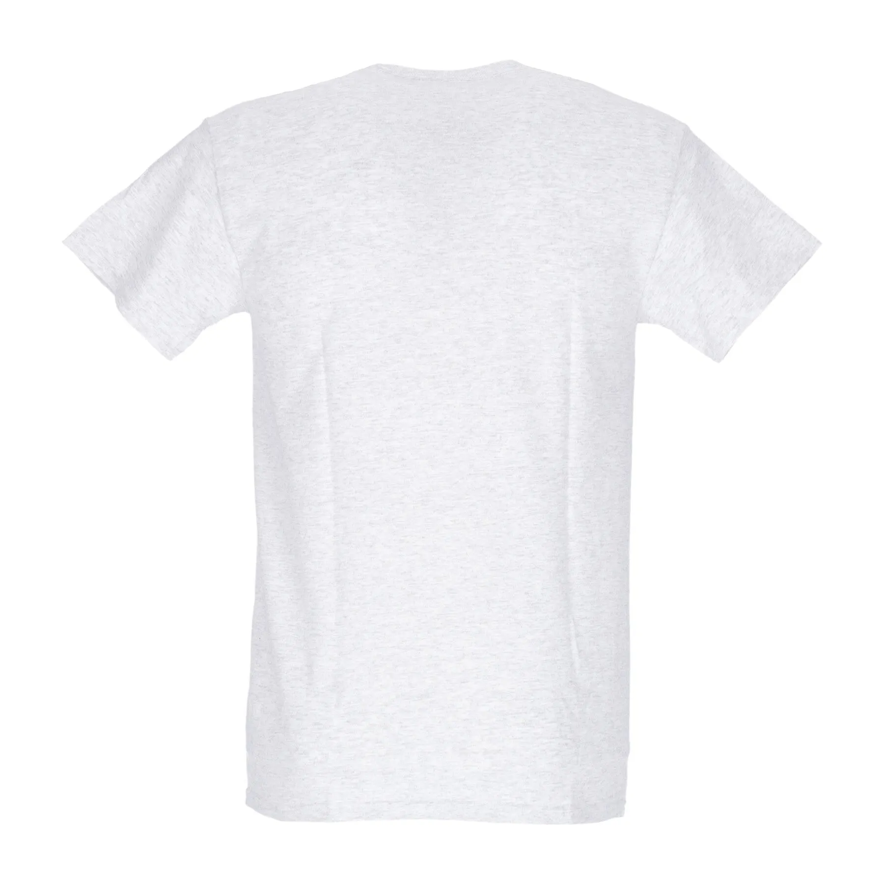 Maglietta Uomo Fortune Logo Tee Ash Grey